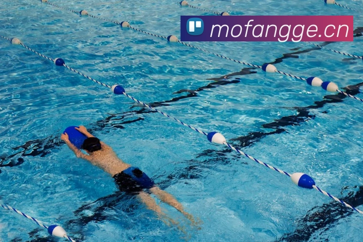 来球网免费直播nbaAPP 封面图